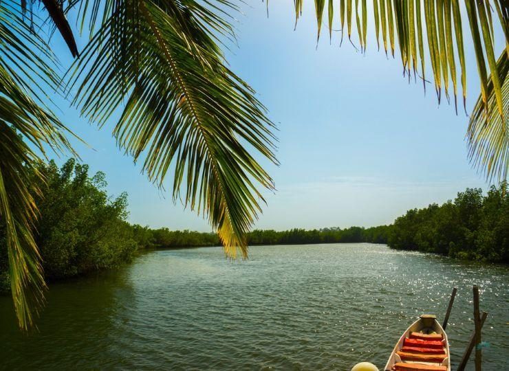River Gambia Boat Trip